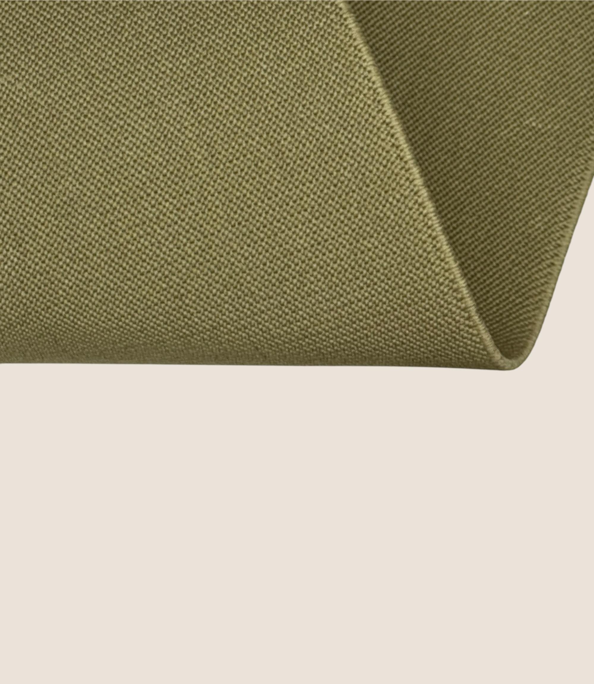 картинка Лента башмачная 100мм (оливковый, №360) с3692а АО «Лента»