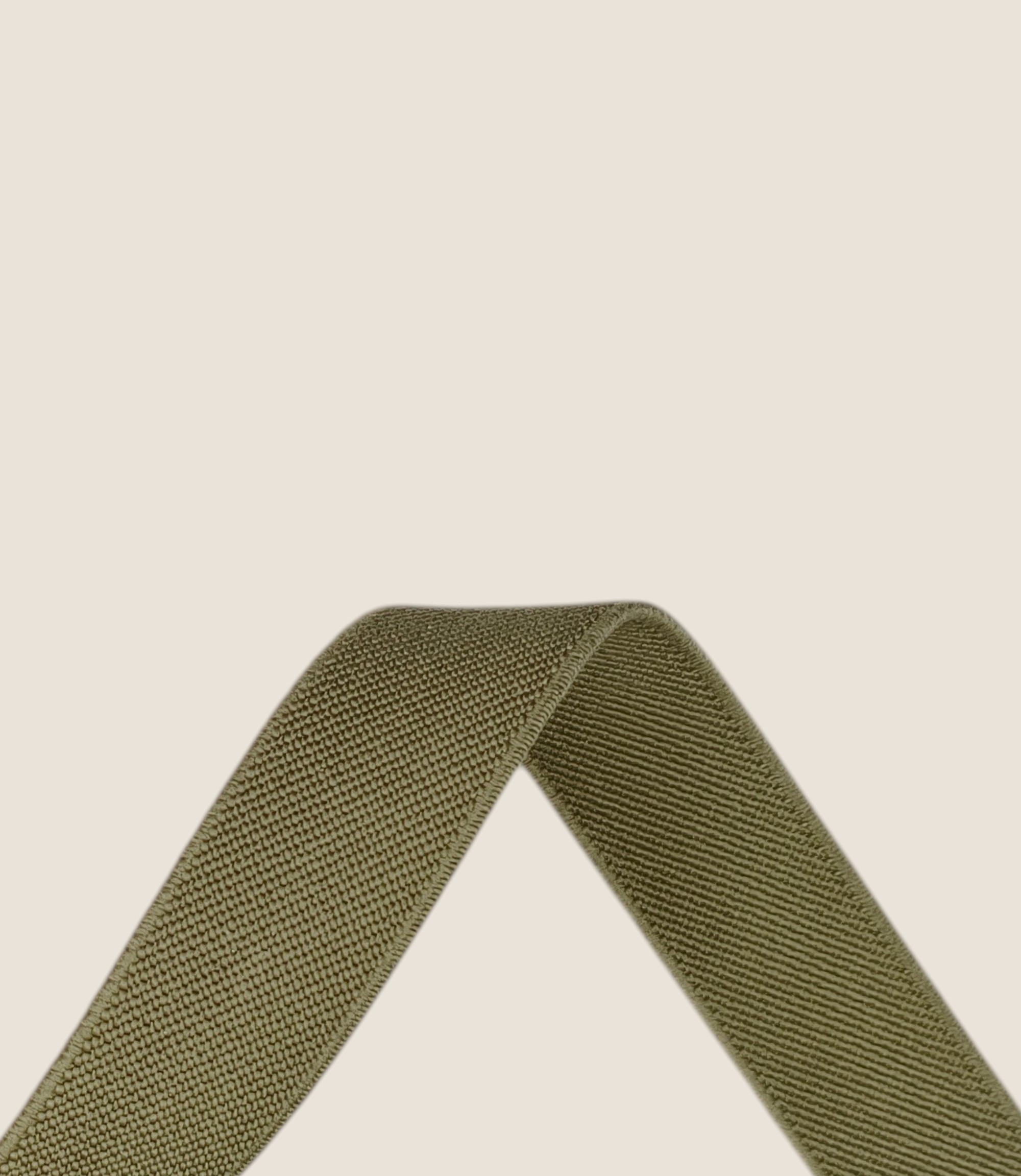 картинка Лента башмачная 25мм (оливковый, №360) с3904а АО «Лента»